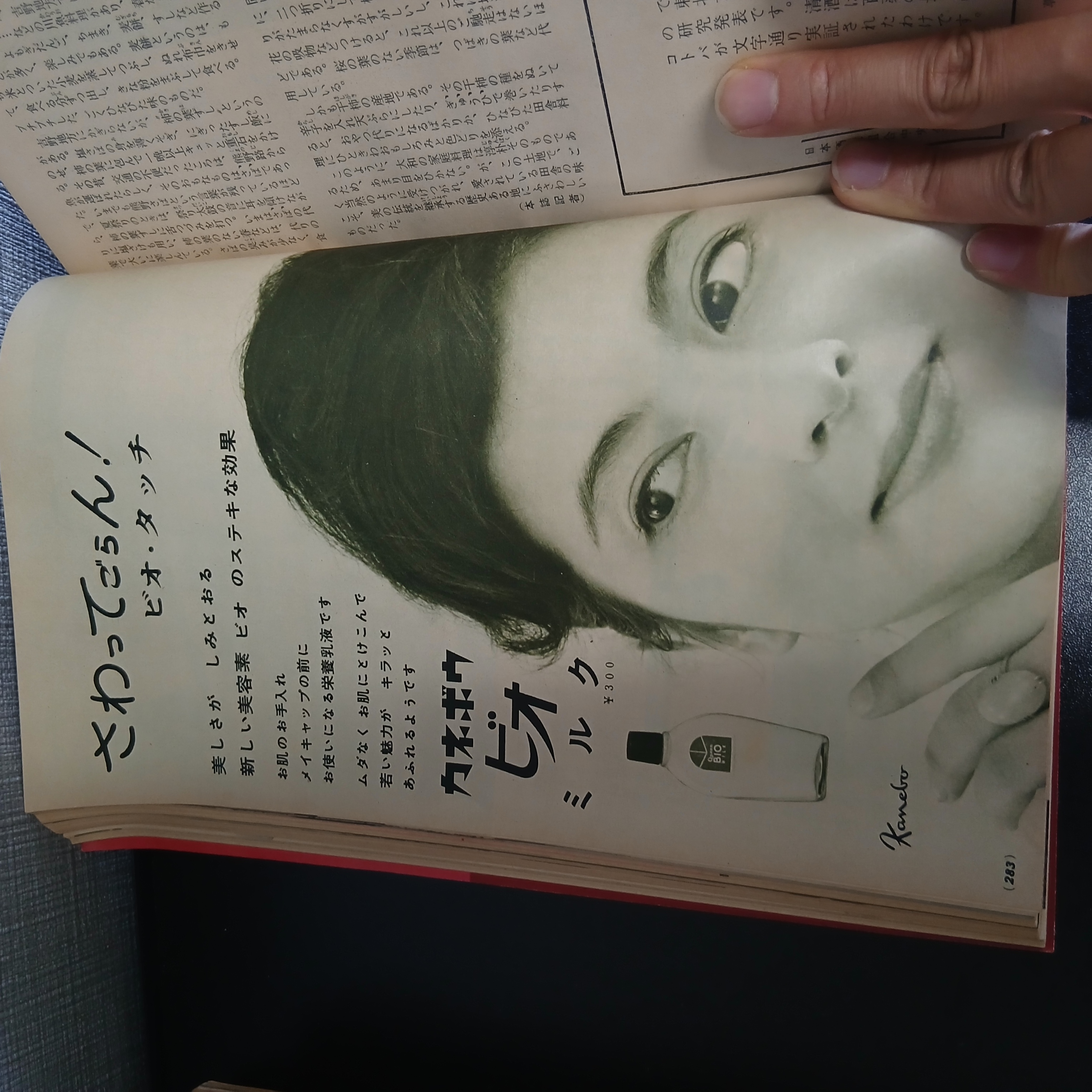 主婦の友 掲載写真 10
