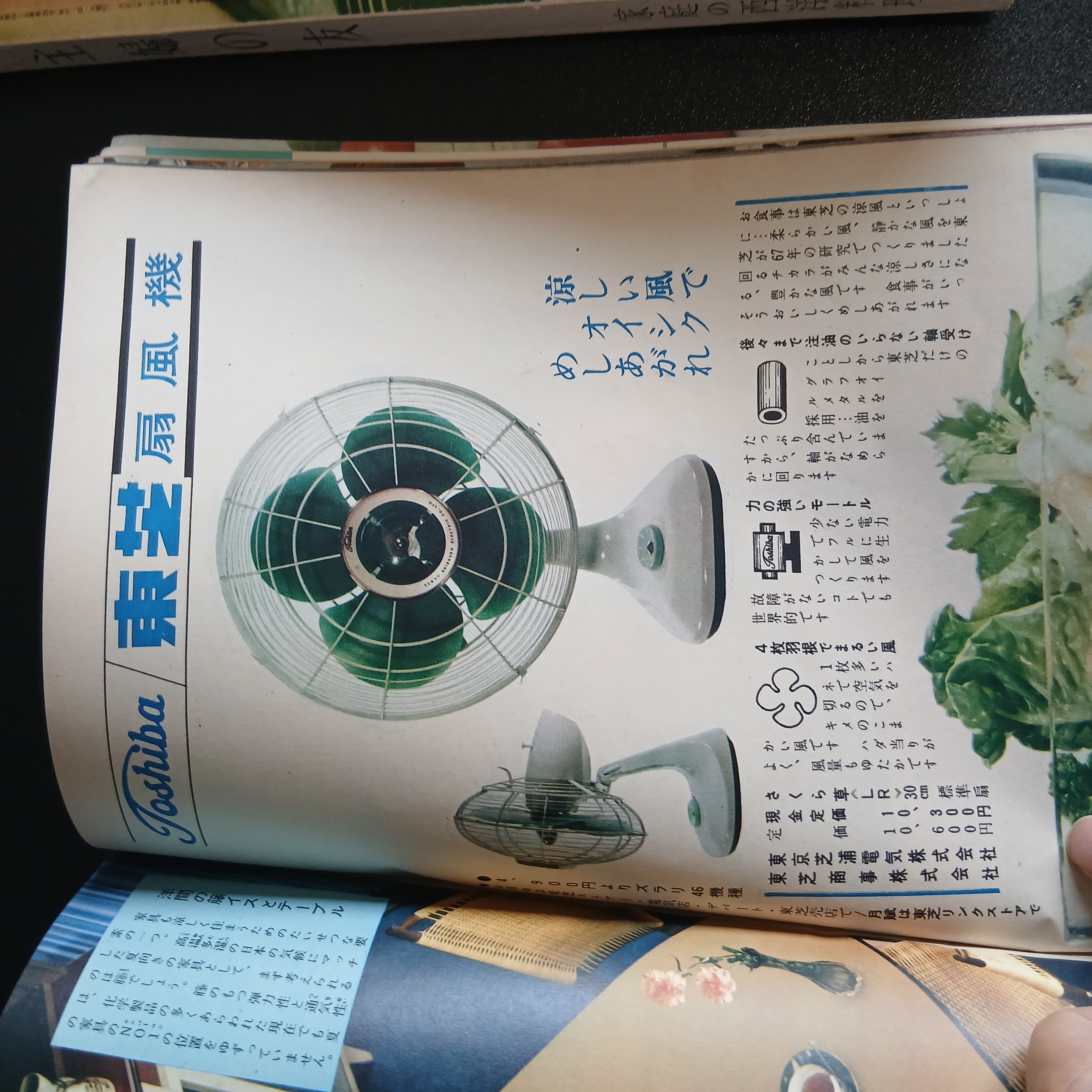 主婦の友 掲載写真 14